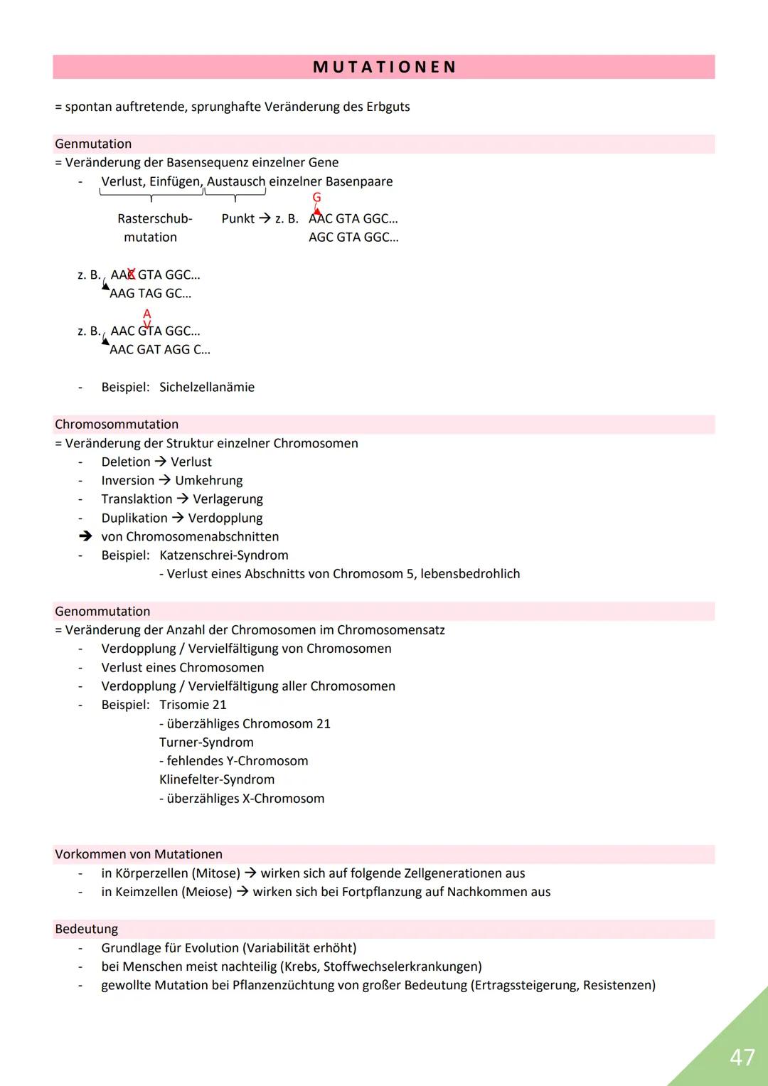 BIOLOGIE Abitur 2021
Themen:
1. Stoffwechsel / Zytologie
2. Ökologie
3. Genetik
4. Evolution
5. Neurobiologie
M
1 STOFFWECHSEL / ZYTOLOGIE
P