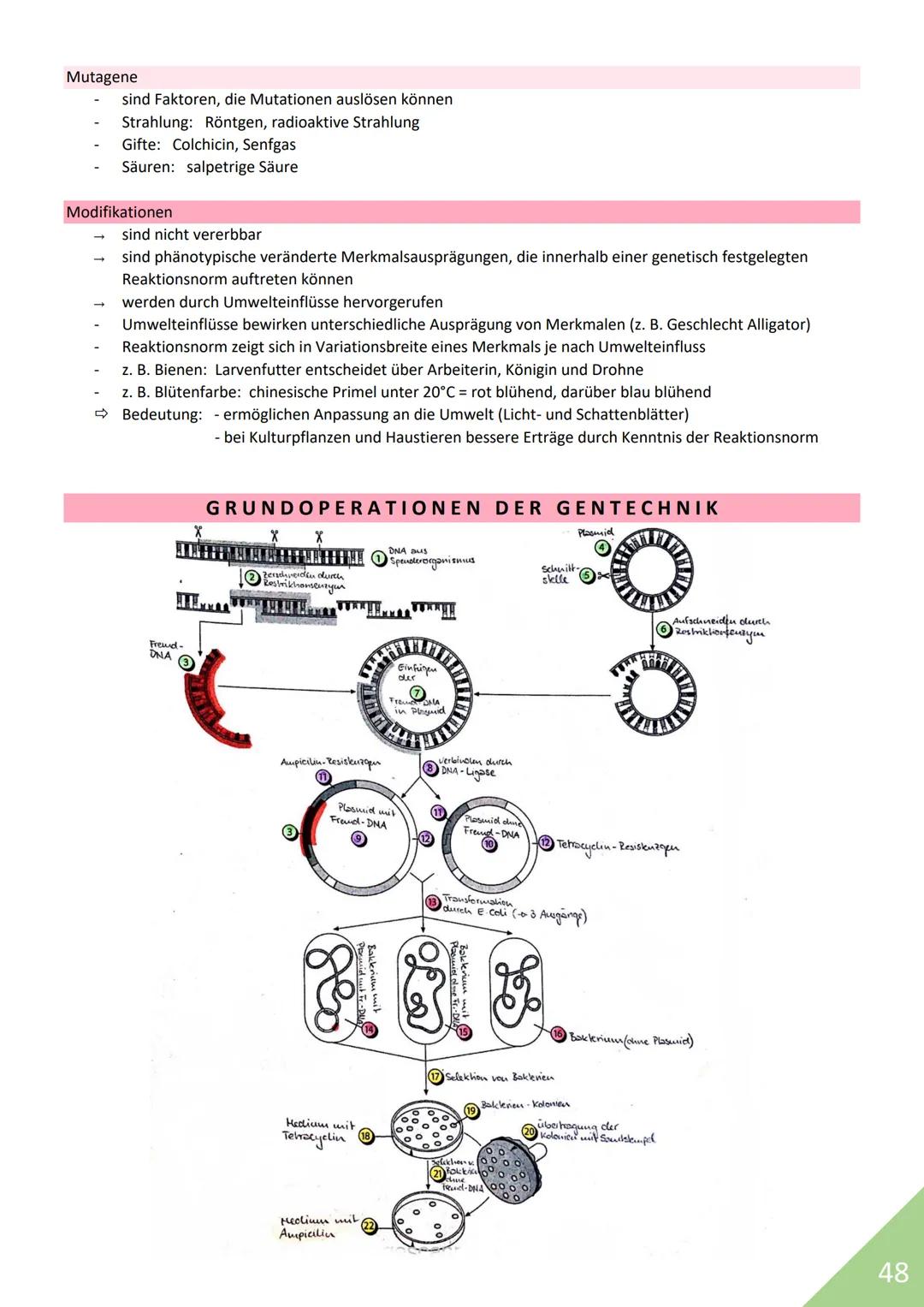 BIOLOGIE Abitur 2021
Themen:
1. Stoffwechsel / Zytologie
2. Ökologie
3. Genetik
4. Evolution
5. Neurobiologie
M
1 STOFFWECHSEL / ZYTOLOGIE
P