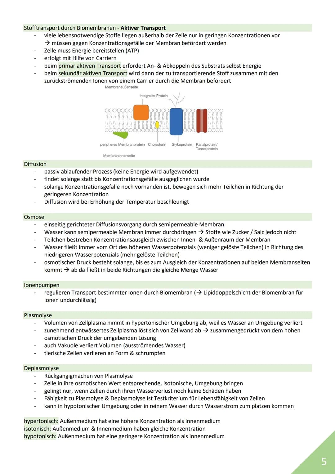 BIOLOGIE Abitur 2021
Themen:
1. Stoffwechsel / Zytologie
2. Ökologie
3. Genetik
4. Evolution
5. Neurobiologie
M
1 STOFFWECHSEL / ZYTOLOGIE
P