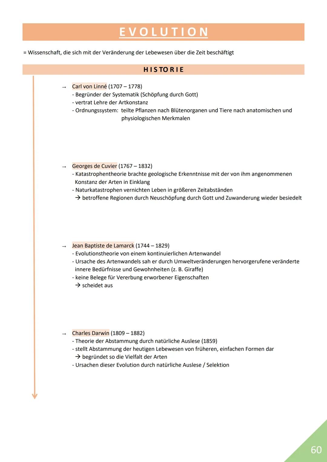 BIOLOGIE Abitur 2021
Themen:
1. Stoffwechsel / Zytologie
2. Ökologie
3. Genetik
4. Evolution
5. Neurobiologie
M
1 STOFFWECHSEL / ZYTOLOGIE
P