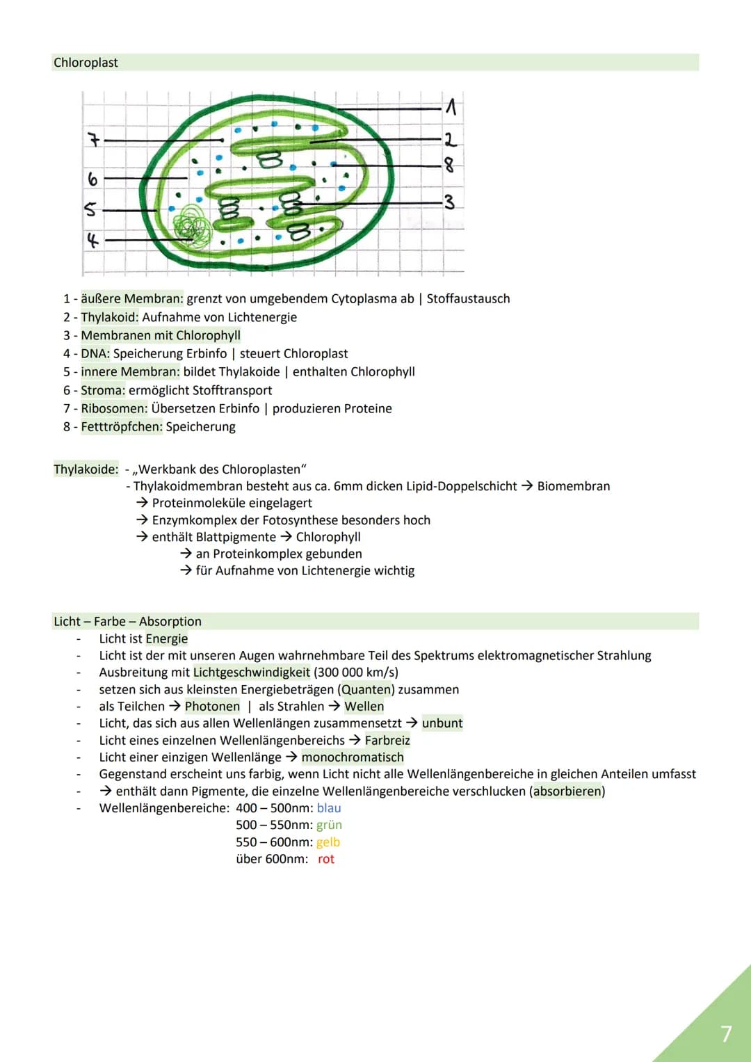 BIOLOGIE Abitur 2021
Themen:
1. Stoffwechsel / Zytologie
2. Ökologie
3. Genetik
4. Evolution
5. Neurobiologie
M
1 STOFFWECHSEL / ZYTOLOGIE
P