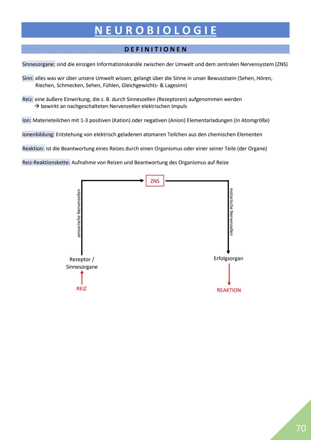 BIOLOGIE Abitur 2021
Themen:
1. Stoffwechsel / Zytologie
2. Ökologie
3. Genetik
4. Evolution
5. Neurobiologie
M
1 STOFFWECHSEL / ZYTOLOGIE
P