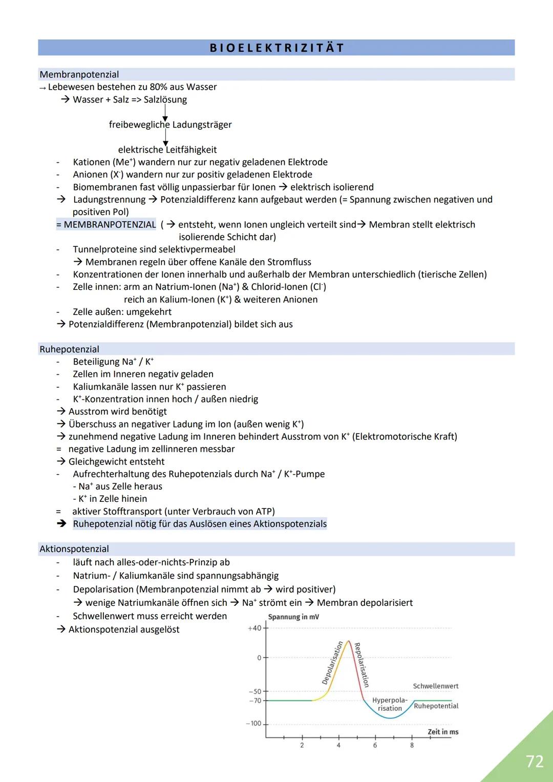 BIOLOGIE Abitur 2021
Themen:
1. Stoffwechsel / Zytologie
2. Ökologie
3. Genetik
4. Evolution
5. Neurobiologie
M
1 STOFFWECHSEL / ZYTOLOGIE
P