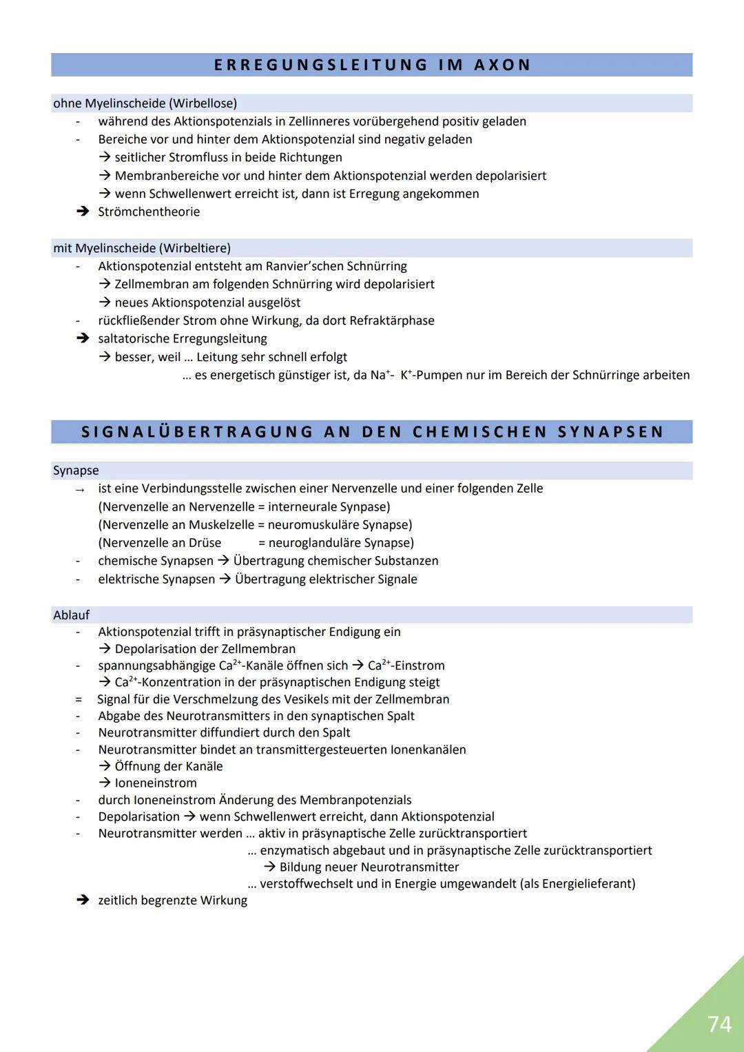 BIOLOGIE Abitur 2021
Themen:
1. Stoffwechsel / Zytologie
2. Ökologie
3. Genetik
4. Evolution
5. Neurobiologie
M
1 STOFFWECHSEL / ZYTOLOGIE
P