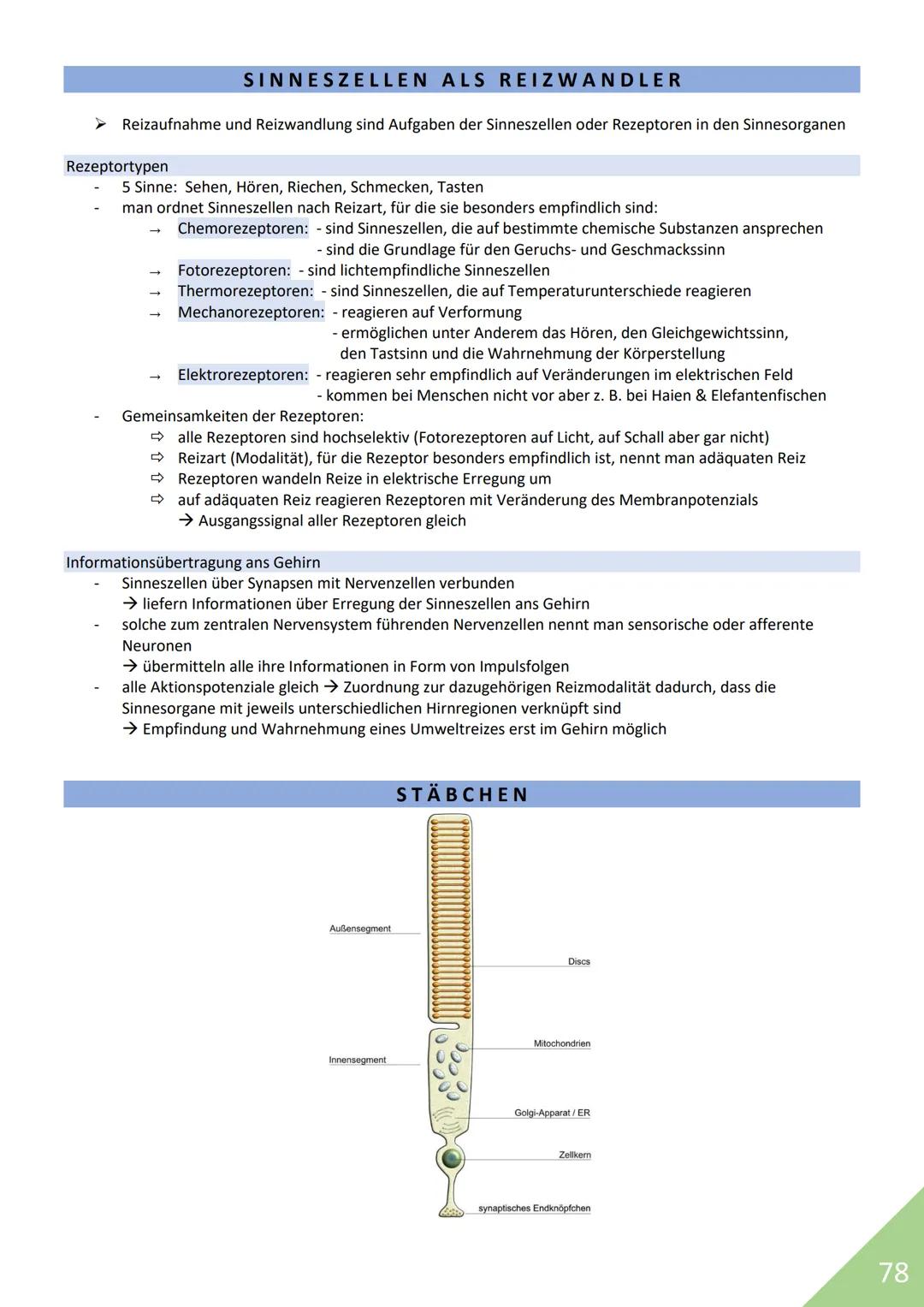 BIOLOGIE Abitur 2021
Themen:
1. Stoffwechsel / Zytologie
2. Ökologie
3. Genetik
4. Evolution
5. Neurobiologie
M
1 STOFFWECHSEL / ZYTOLOGIE
P