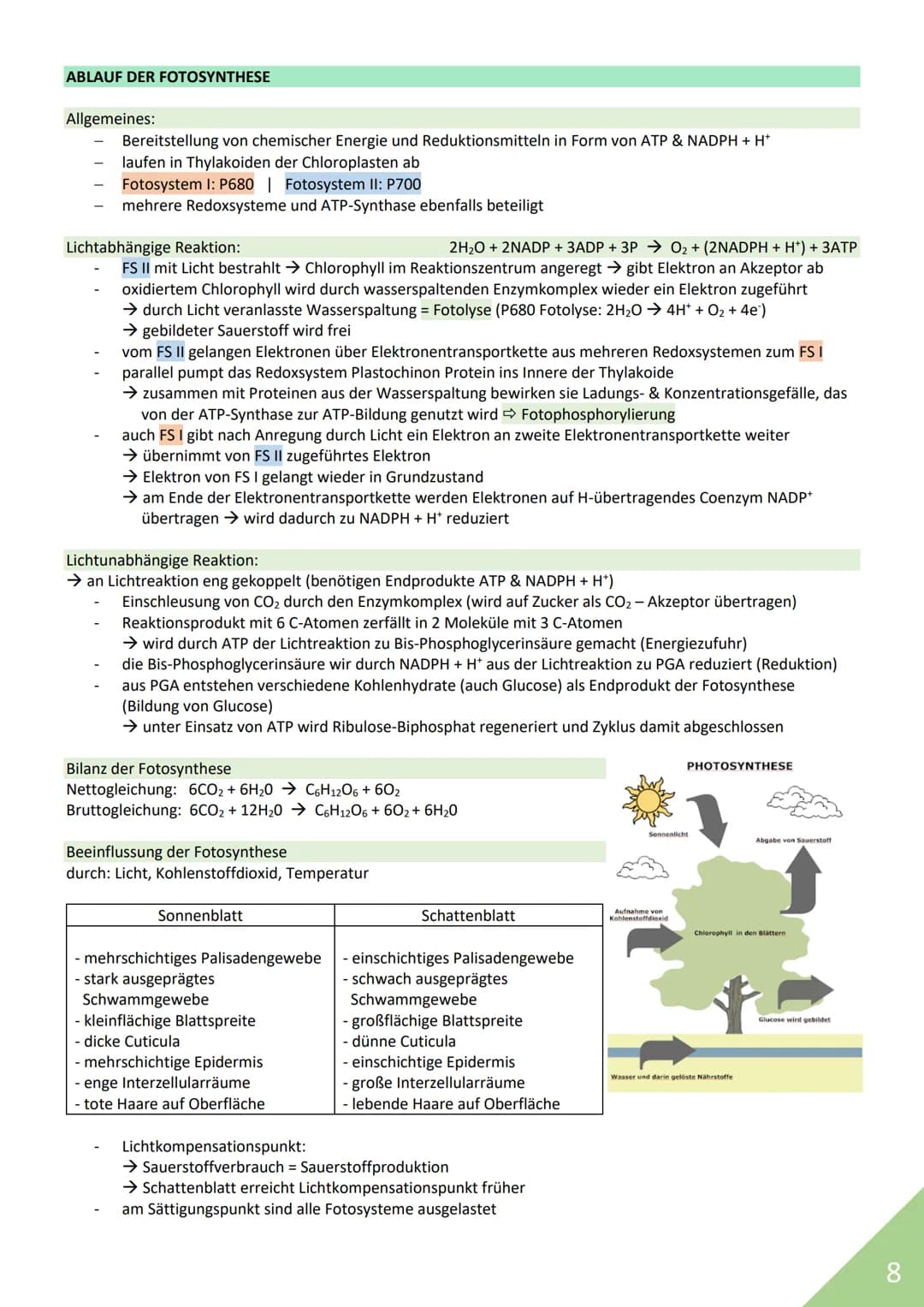 BIOLOGIE Abitur 2021
Themen:
1. Stoffwechsel / Zytologie
2. Ökologie
3. Genetik
4. Evolution
5. Neurobiologie
M
1 STOFFWECHSEL / ZYTOLOGIE
P