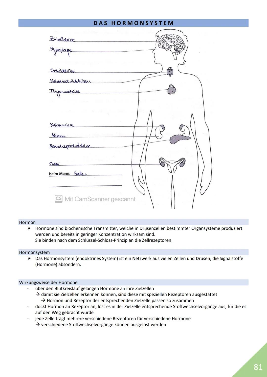 BIOLOGIE Abitur 2021
Themen:
1. Stoffwechsel / Zytologie
2. Ökologie
3. Genetik
4. Evolution
5. Neurobiologie
M
1 STOFFWECHSEL / ZYTOLOGIE
P