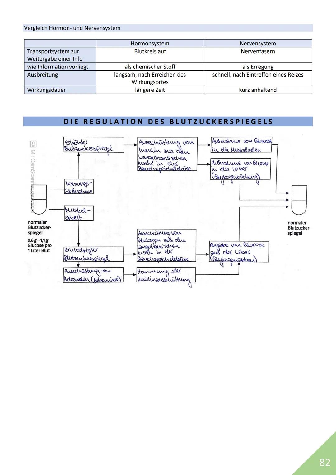 BIOLOGIE Abitur 2021
Themen:
1. Stoffwechsel / Zytologie
2. Ökologie
3. Genetik
4. Evolution
5. Neurobiologie
M
1 STOFFWECHSEL / ZYTOLOGIE
P