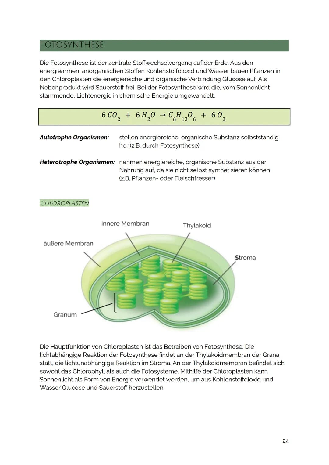 FOTOSYNTHESE
Die Fotosynthese ist der zentrale Stoffwechselvorgang auf der Erde: Aus den
energiearmen, anorganischen Stoffen Kohlenstoffdiox