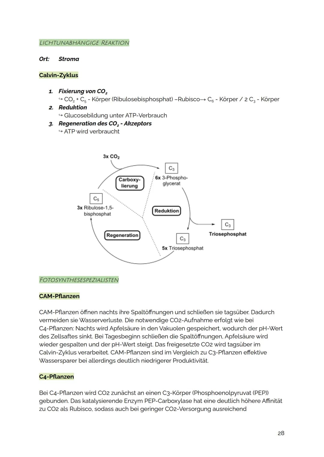 FOTOSYNTHESE
Die Fotosynthese ist der zentrale Stoffwechselvorgang auf der Erde: Aus den
energiearmen, anorganischen Stoffen Kohlenstoffdiox