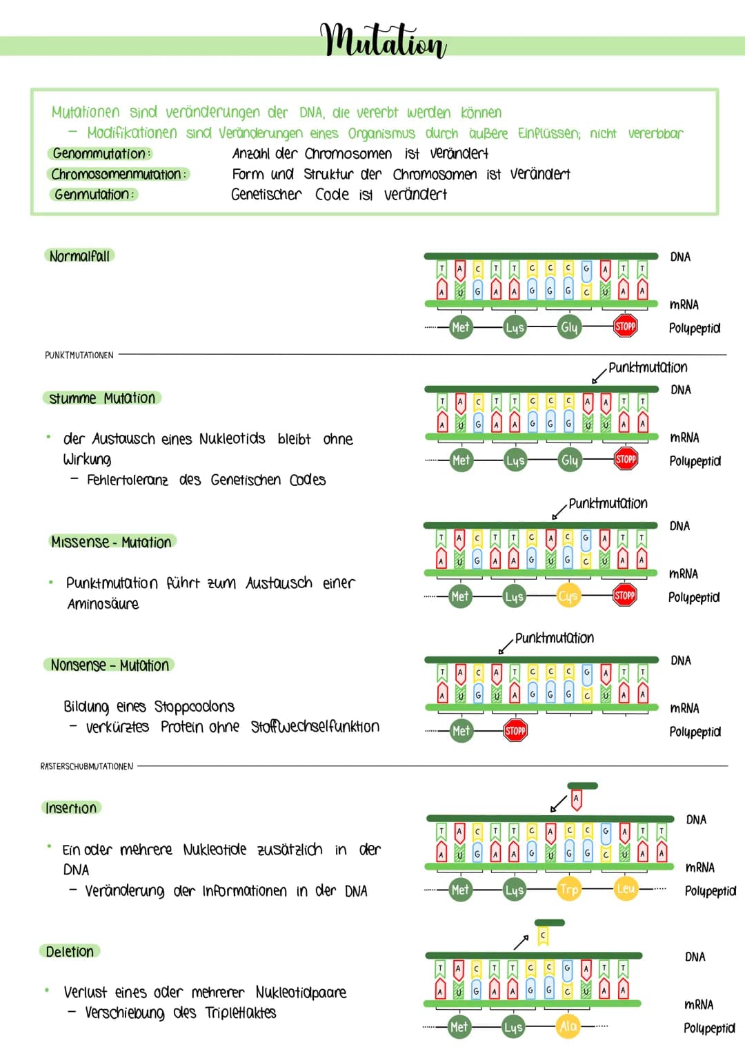 Mutationen sind veränderungen der DNA, die vererbt werden können
Modifikationen sind Veränderungen eines Organismus durch außere Einflüssen;