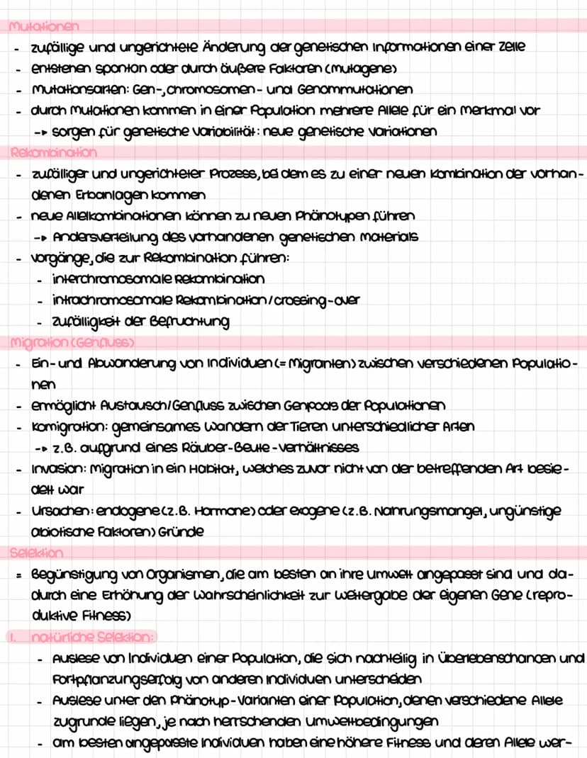 Inhalisfeld 6: Evolution
Entwicklung der Evolutionstheorie
Transformationstheorie (Jean Baptiste de Lamarck) 1809
Theorie von der Veränderli
