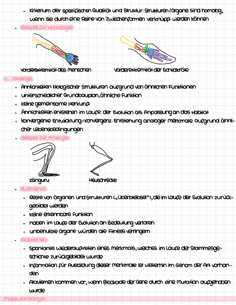 Inhalisfeld 6: Evolution
Entwicklung der Evolutionstheorie
Transformationstheorie (Jean Baptiste de Lamarck) 1809
Theorie von der Veränderli