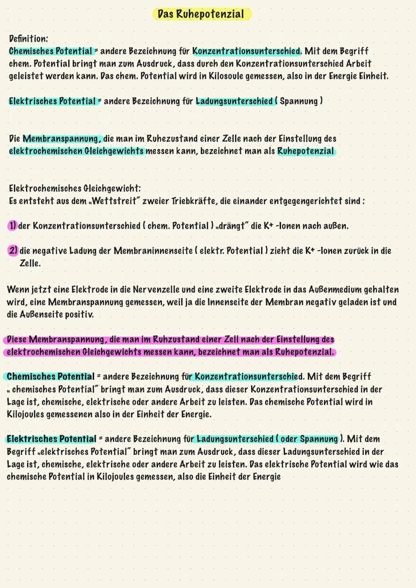 Reiz-Reaktions-Schema:
Sinnesorgane
(adäquater Reiz)
Muskel, Effektor
ACTH -> Adrenocorticotropes Hormon
Gehirn
Zentrales Nervensystem
(ZNS)