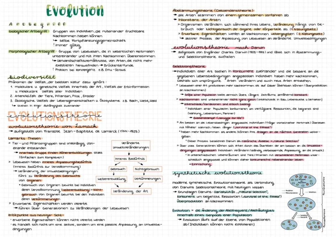 Lamarck Evolutionstheorie einfach erklärt: Der Vergleich mit Darwin und mehr!
