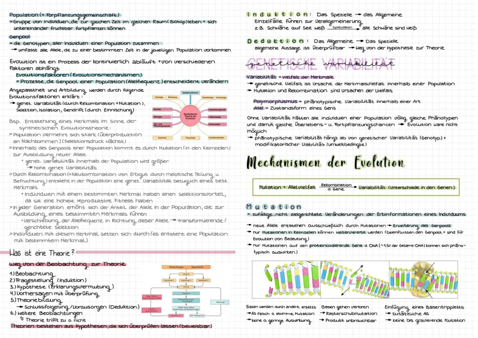 Evolution
Art be
riff
biologischer Artbegriff: Gruppen von Individuen, die miteinander fruchtbare
Nachkommen haben können
selbe Fortpflanzun