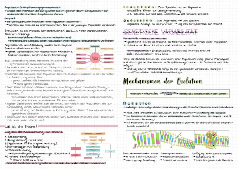 Evolution
Art be
riff
biologischer Artbegriff: Gruppen von Individuen, die miteinander fruchtbare
Nachkommen haben können
selbe Fortpflanzun