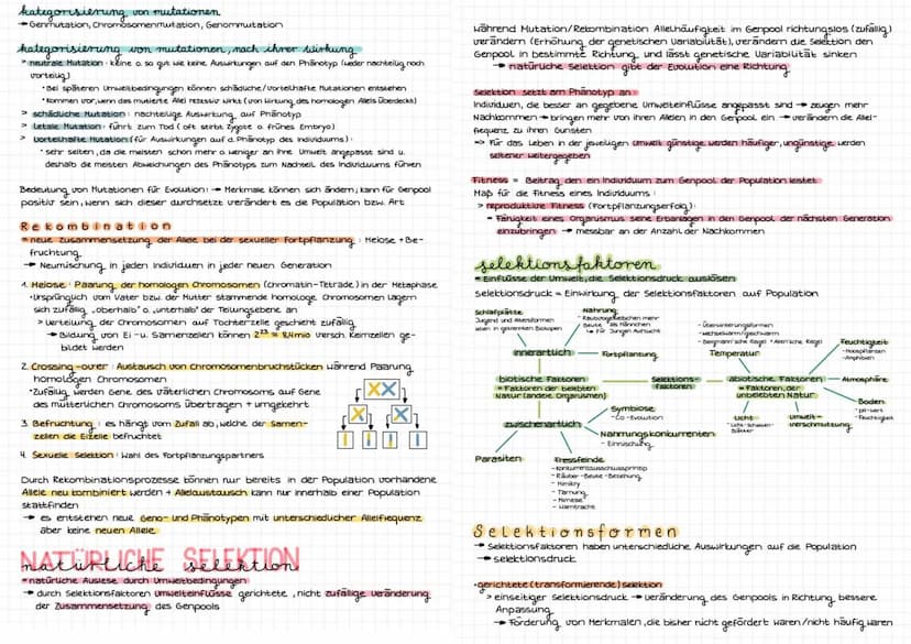 Evolution
Art be
riff
biologischer Artbegriff: Gruppen von Individuen, die miteinander fruchtbare
Nachkommen haben können
selbe Fortpflanzun