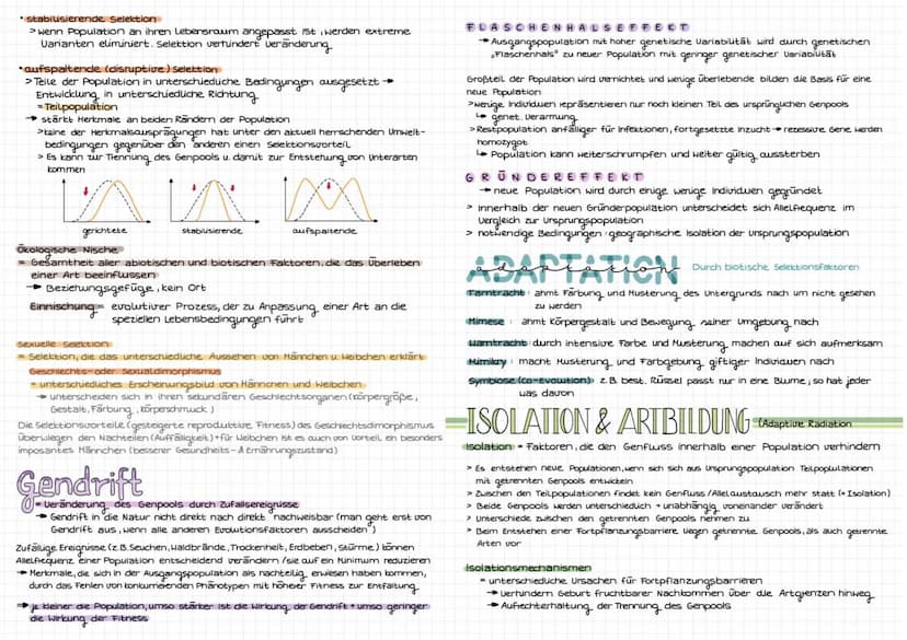 Evolution
Art be
riff
biologischer Artbegriff: Gruppen von Individuen, die miteinander fruchtbare
Nachkommen haben können
selbe Fortpflanzun