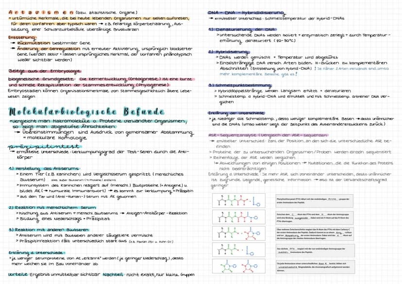 Evolution
Art be
riff
biologischer Artbegriff: Gruppen von Individuen, die miteinander fruchtbare
Nachkommen haben können
selbe Fortpflanzun