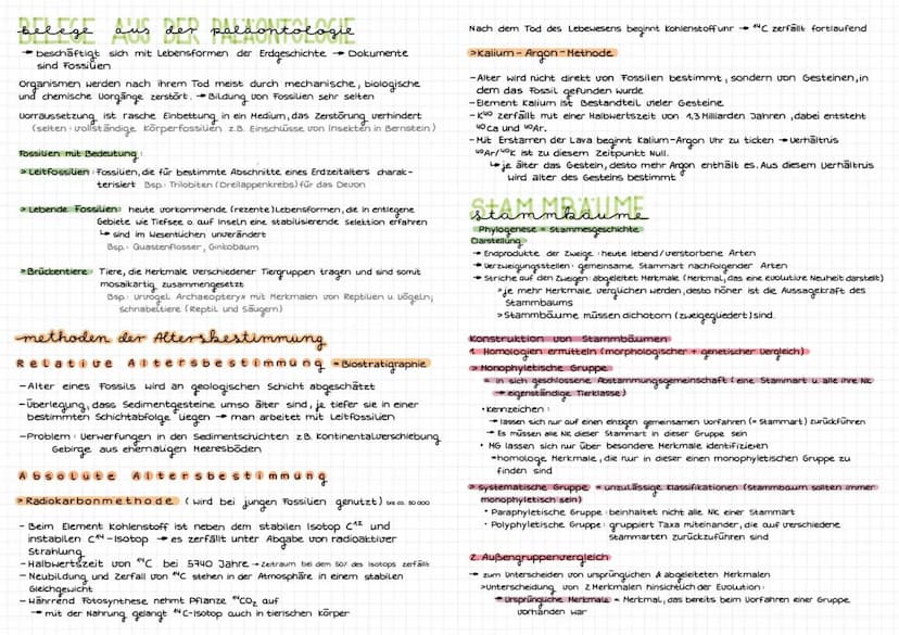 Evolution
Art be
riff
biologischer Artbegriff: Gruppen von Individuen, die miteinander fruchtbare
Nachkommen haben können
selbe Fortpflanzun