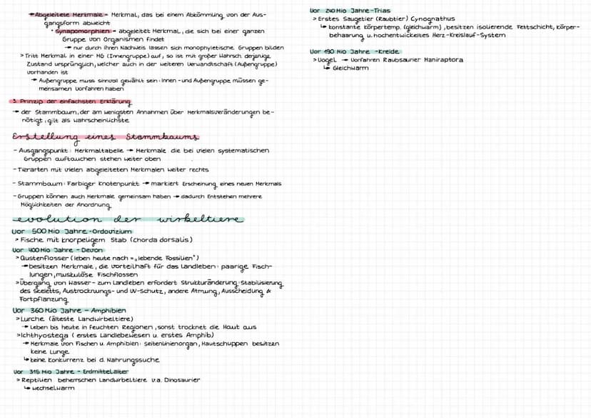 Evolution
Art be
riff
biologischer Artbegriff: Gruppen von Individuen, die miteinander fruchtbare
Nachkommen haben können
selbe Fortpflanzun
