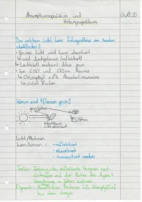 Know Absorptionsspektrum & Wirkungsspektrum thumbnail