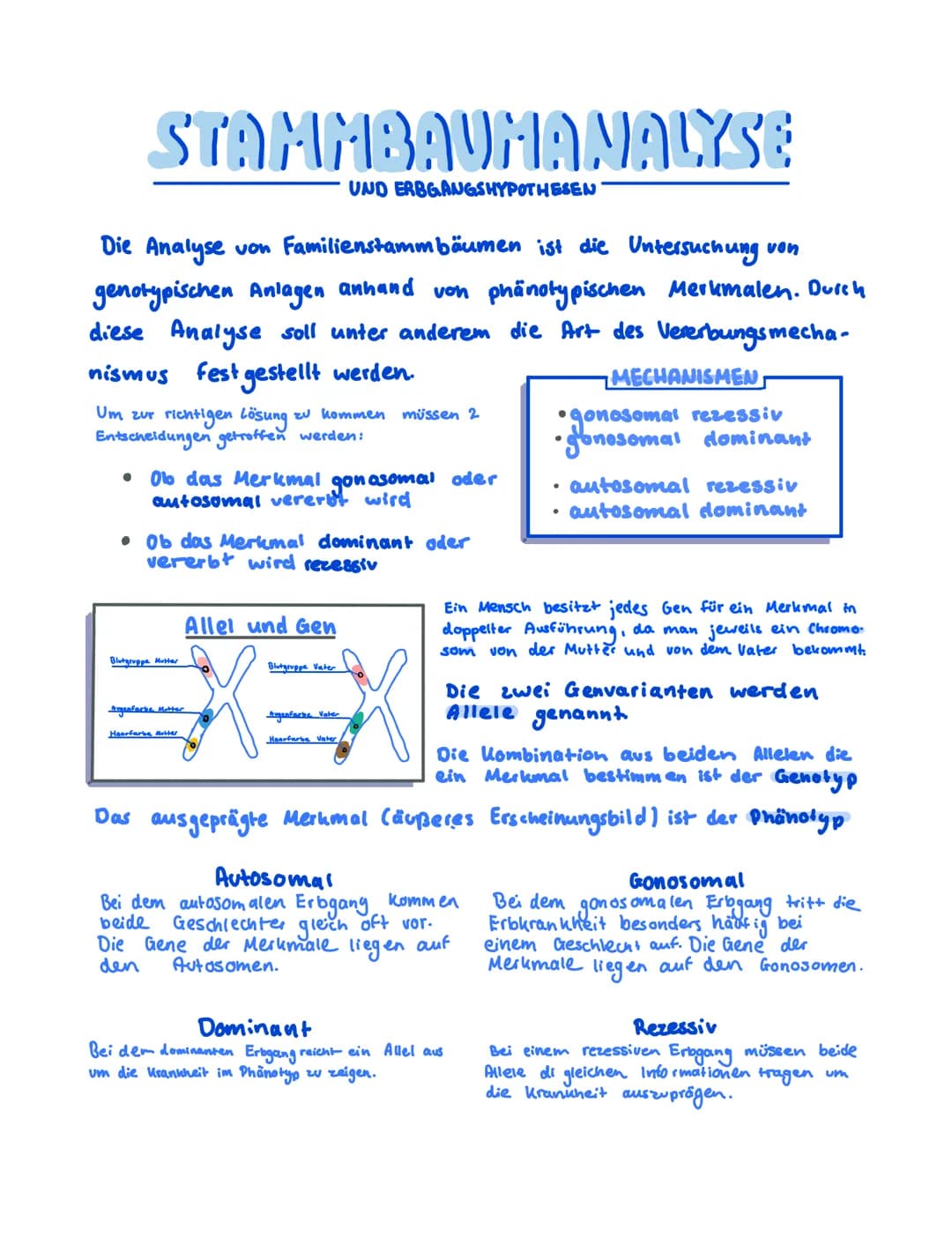 STAMMBAUMANALYSE
UND ERBGANGSHYPOTHESEN
Die Analyse
von Familienstammbäumen ist die Untersuchung von
genotypischen Anlagen anhand von phänot
