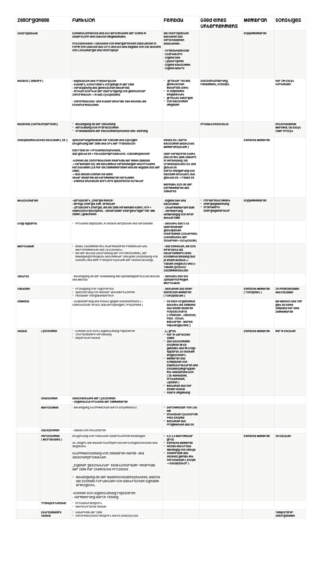 Die Zelle
Eine Zelle ist ein abgegrenztes, selbsterhaltendes system innerhalb von allen
organismen. Die Zelle ist die Baueinheit aller Lebew