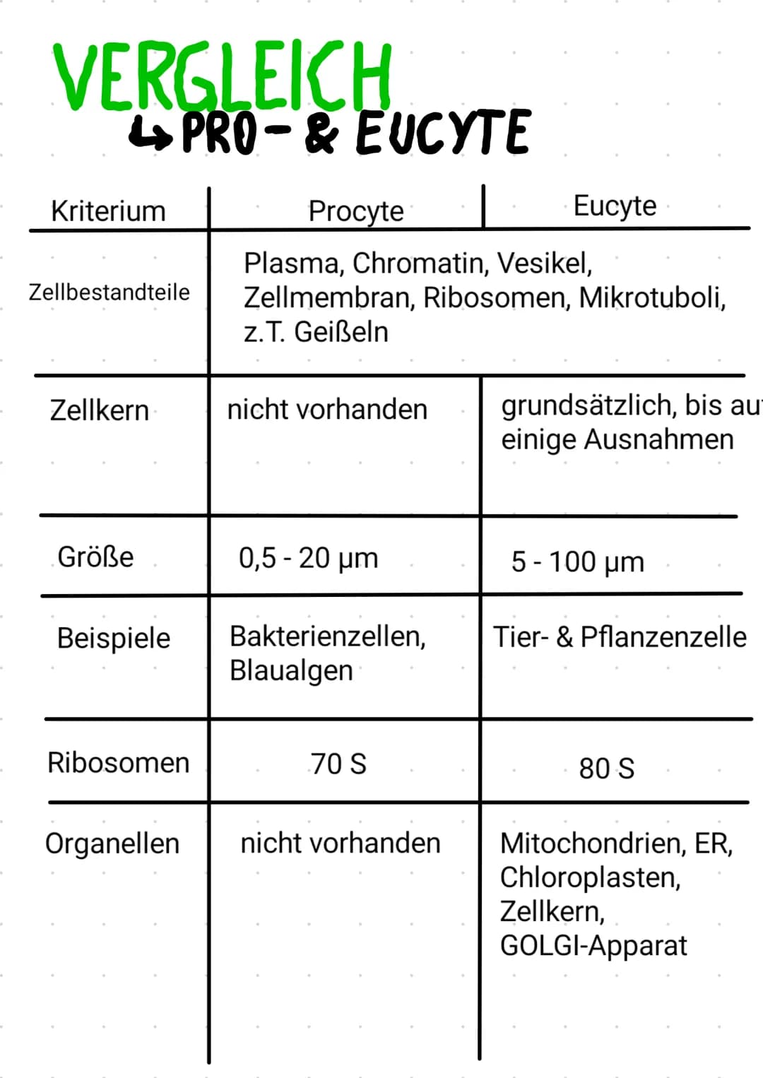-
PROCYTE
keinen Zellkern
keine Organellen
مل
Ap
দি
Schleim
Zellwand
Zellmembran
70S Ribosomen
Plasmid
Vesikel
Thylakoid
Chromatin
Zellplasm