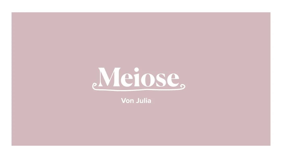 Meiose Präsentation 