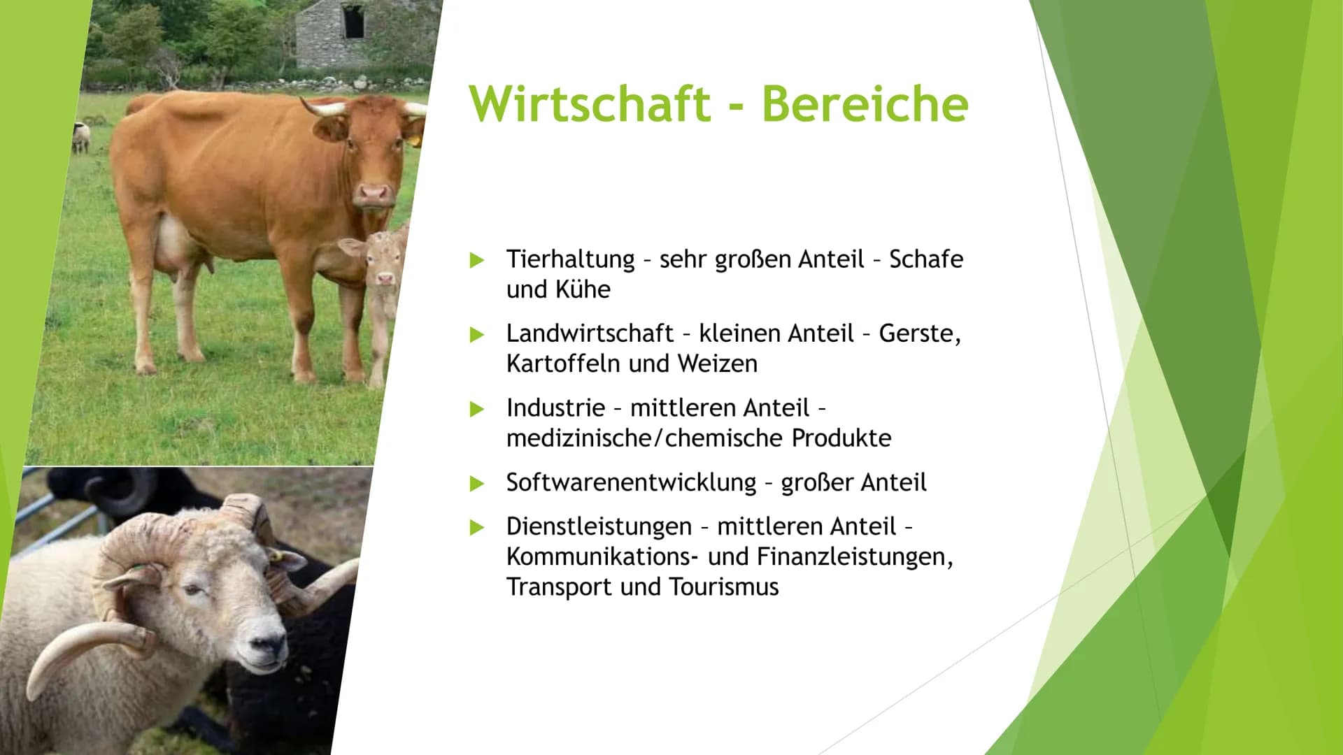 Die Republik Irland
Die „grüne" Insel (1)
500
DE
500
EZS TXT EXP 2002
50
BCE BCB 128
FOOD
BCE ECE STD
BCE ECH EZS
500
00
00
1500
500 EURO
15