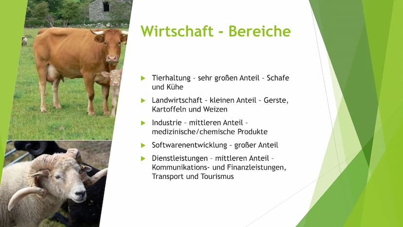 Die Republik Irland
Die „grüne" Insel (1)
500
DE
500
EZS TXT EXP 2002
50
BCE BCB 128
FOOD
BCE ECE STD
BCE ECH EZS
500
00
00
1500
500 EURO
15