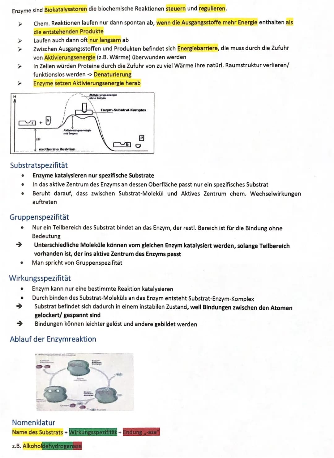 Enzyme sind Biokatalysatoren die biochemische Reaktionen steuern und regulieren.
Chem. Reaktionen laufen nur dann spontan ab, wenn die Ausga