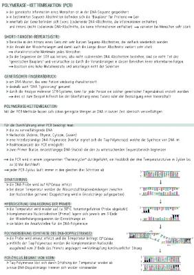 Know Polymerase-Kettenreaktion (PCR) thumbnail