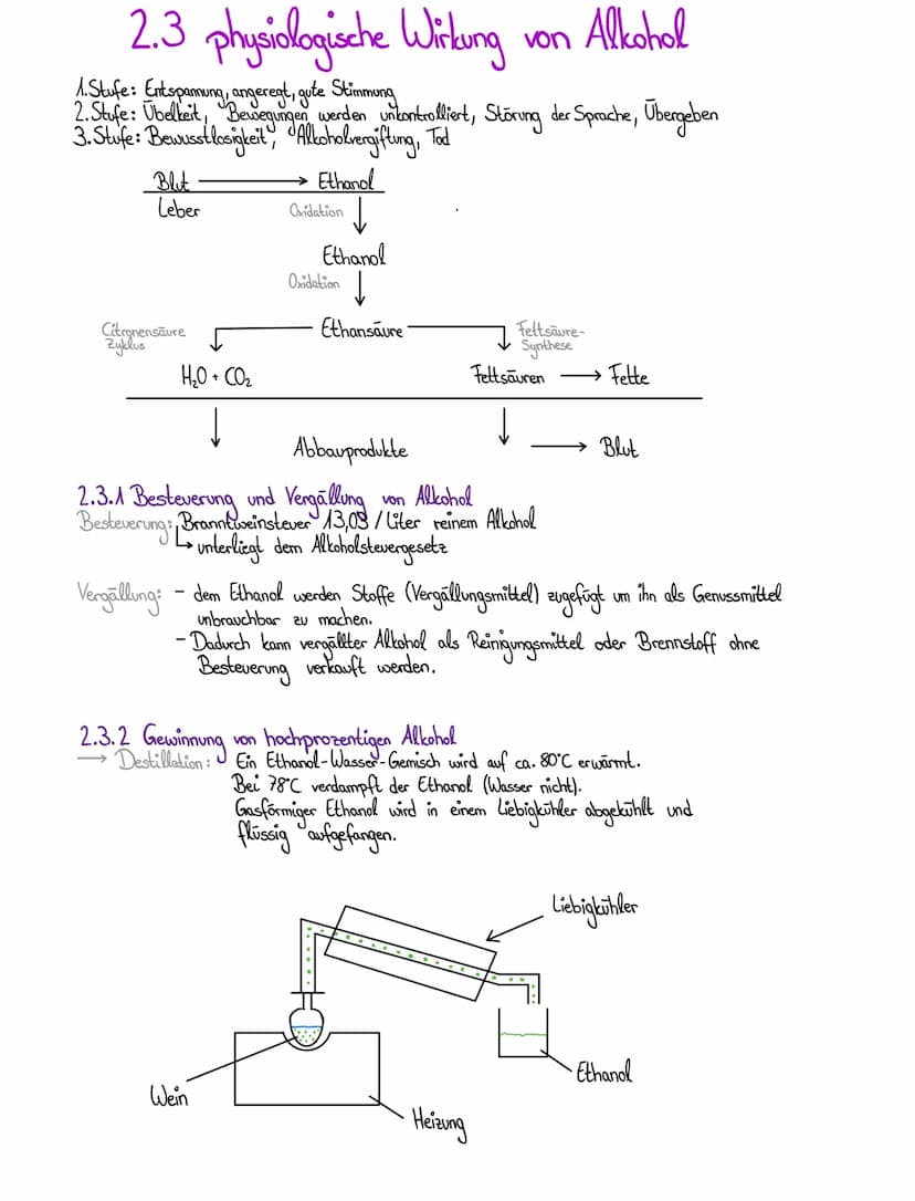 •Trinkalkohol (Ethanol)
Die Garung Umwandlung von Zucker in Ethanol und Kohlenstoffdioxid mit Hilfe von Hefe.
=>
Hefe
Collels
2 C₂H₂OH
2C0₂
