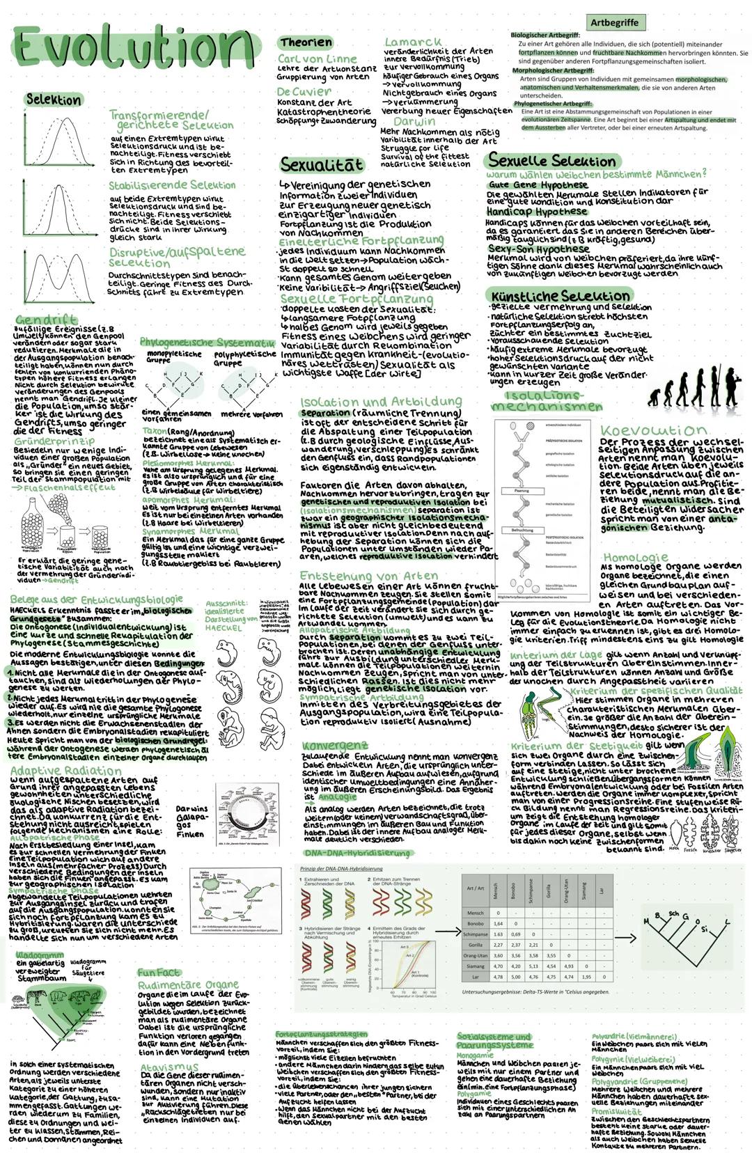 Evolution

Selektion

Transformierende/
gerichtete Selection
auf einen Extremtypen wirkt
nachteilige Fitneund ist bet
Sich in Richtung des b