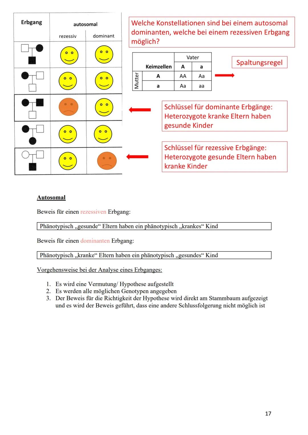 verdoppelt
Prophase I
Zwei Chromatiden
Chromosom mater
2wei Chromatiden
Chromosom veter
cher Herkunft
Metaphase I
Trennung homologer
Zwei Ch