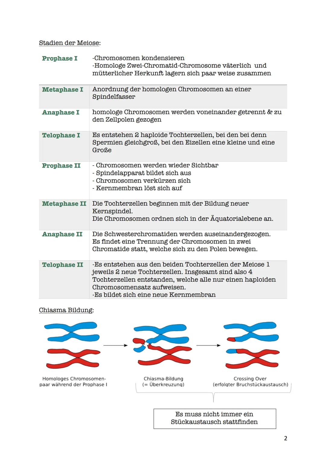 verdoppelt
Prophase I
Zwei Chromatiden
Chromosom mater
2wei Chromatiden
Chromosom veter
cher Herkunft
Metaphase I
Trennung homologer
Zwei Ch