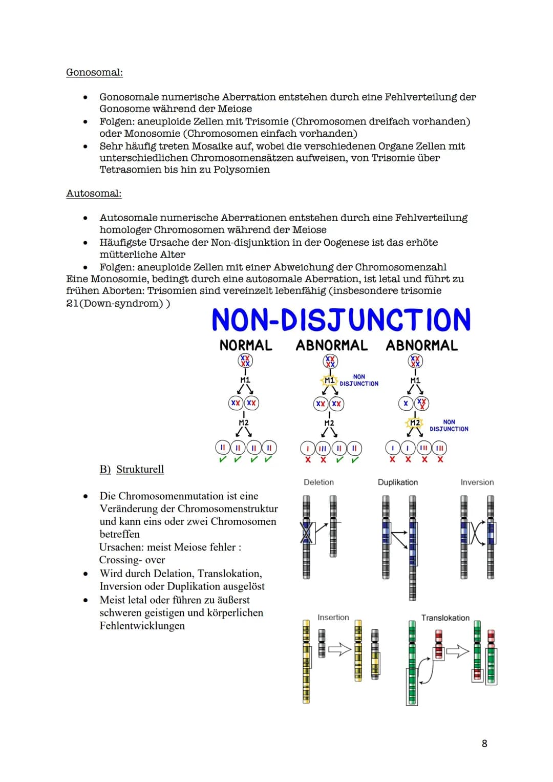 verdoppelt
Prophase I
Zwei Chromatiden
Chromosom mater
2wei Chromatiden
Chromosom veter
cher Herkunft
Metaphase I
Trennung homologer
Zwei Ch