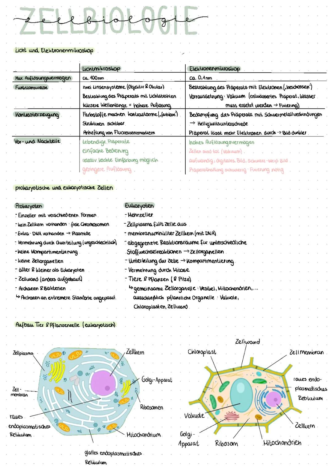 Zellbiologie