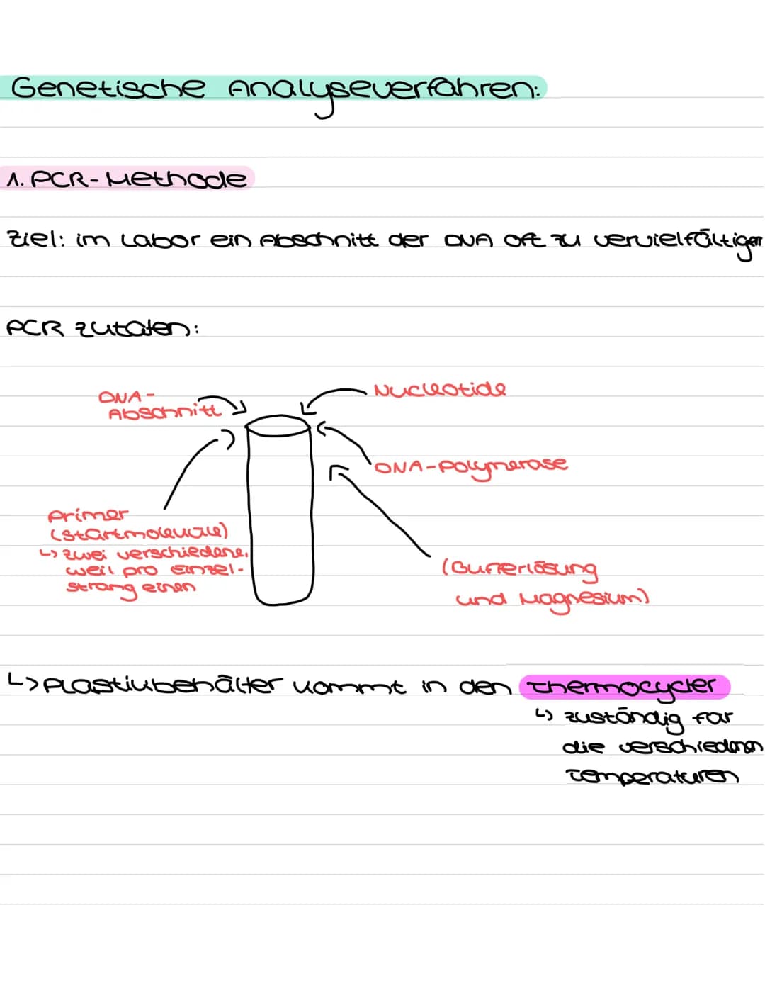 Genetische Analyseverfahren:
1. PCR-Methode
Ziel: im Labor ein Abschnitt der OVA of zu vervielfältigen
PCR Zutaten:
ONA-
Abschnitt
Primer
(s