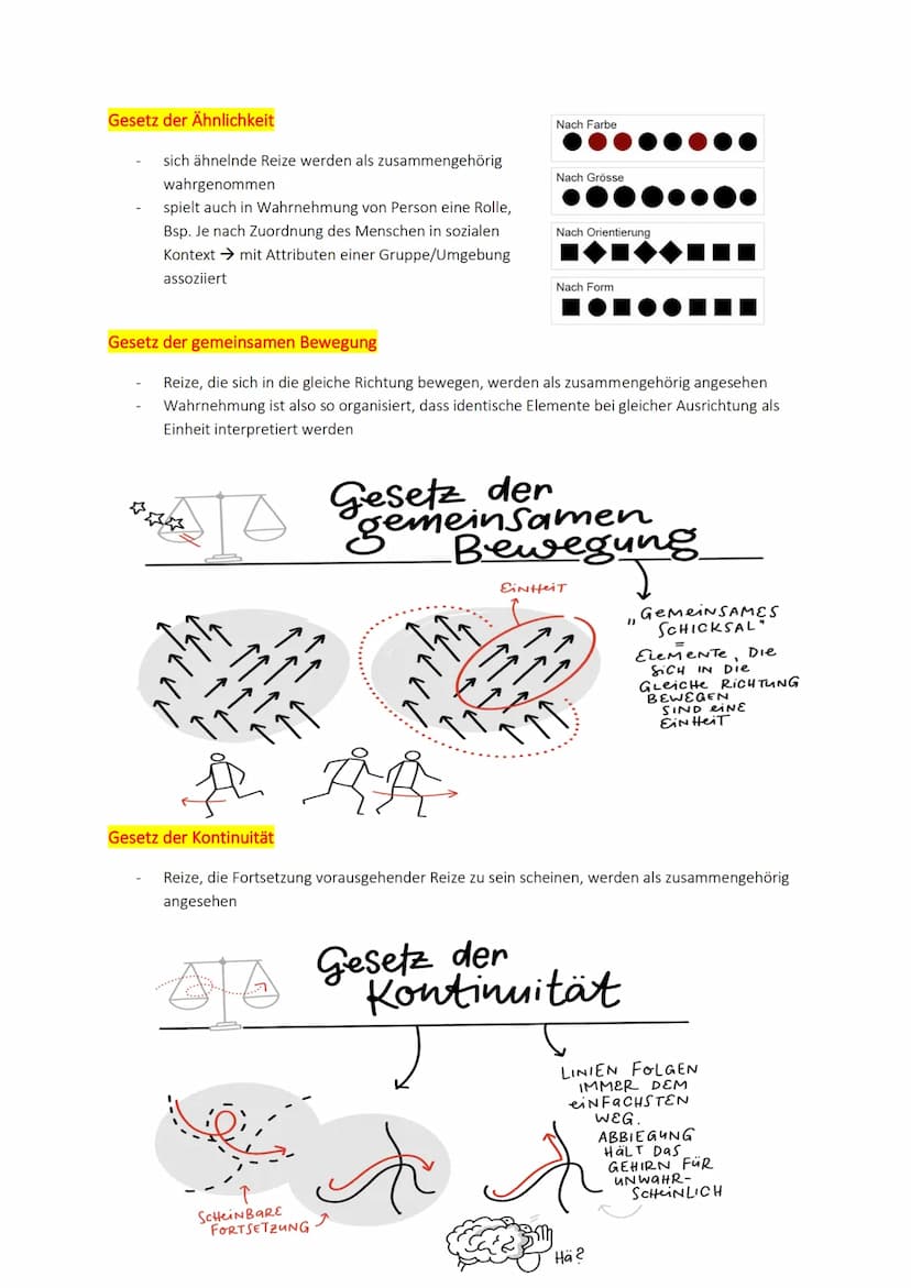 INHALT
Wahrnehmung als Grundlage der Beobachtung
Der Wahrnehmungsprozess
Bedeutung der Wahrnehmung
Propriozeptive Wahrnehmung
Viszerale Wahr