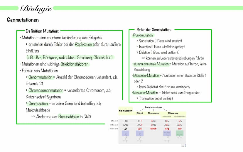 Biologie
Operon Modell
Definition:
• nur bei Prokaryoten
Modell zur Regulation von Genen
.
• Operon - Promoter, Operator + Strukturgene (Gen
