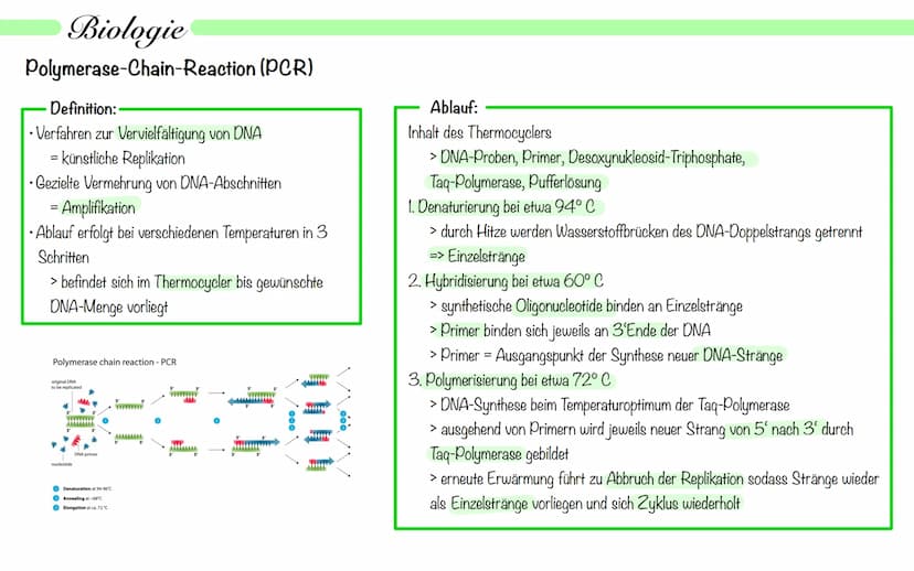Biologie
Operon Modell
Definition:
• nur bei Prokaryoten
Modell zur Regulation von Genen
.
• Operon - Promoter, Operator + Strukturgene (Gen