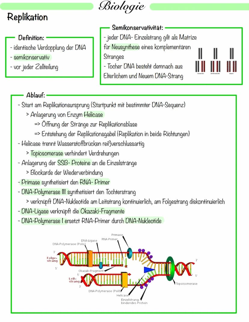 Biologie
Operon Modell
Definition:
• nur bei Prokaryoten
Modell zur Regulation von Genen
.
• Operon - Promoter, Operator + Strukturgene (Gen