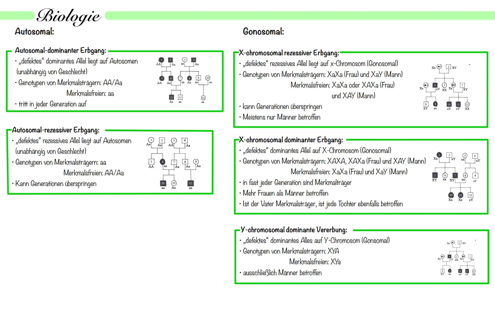 Biologie
Operon Modell
Definition:
• nur bei Prokaryoten
Modell zur Regulation von Genen
.
• Operon - Promoter, Operator + Strukturgene (Gen