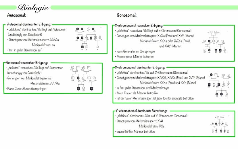 Biologie
Operon Modell
Definition:
• nur bei Prokaryoten
Modell zur Regulation von Genen
.
• Operon - Promoter, Operator + Strukturgene (Gen
