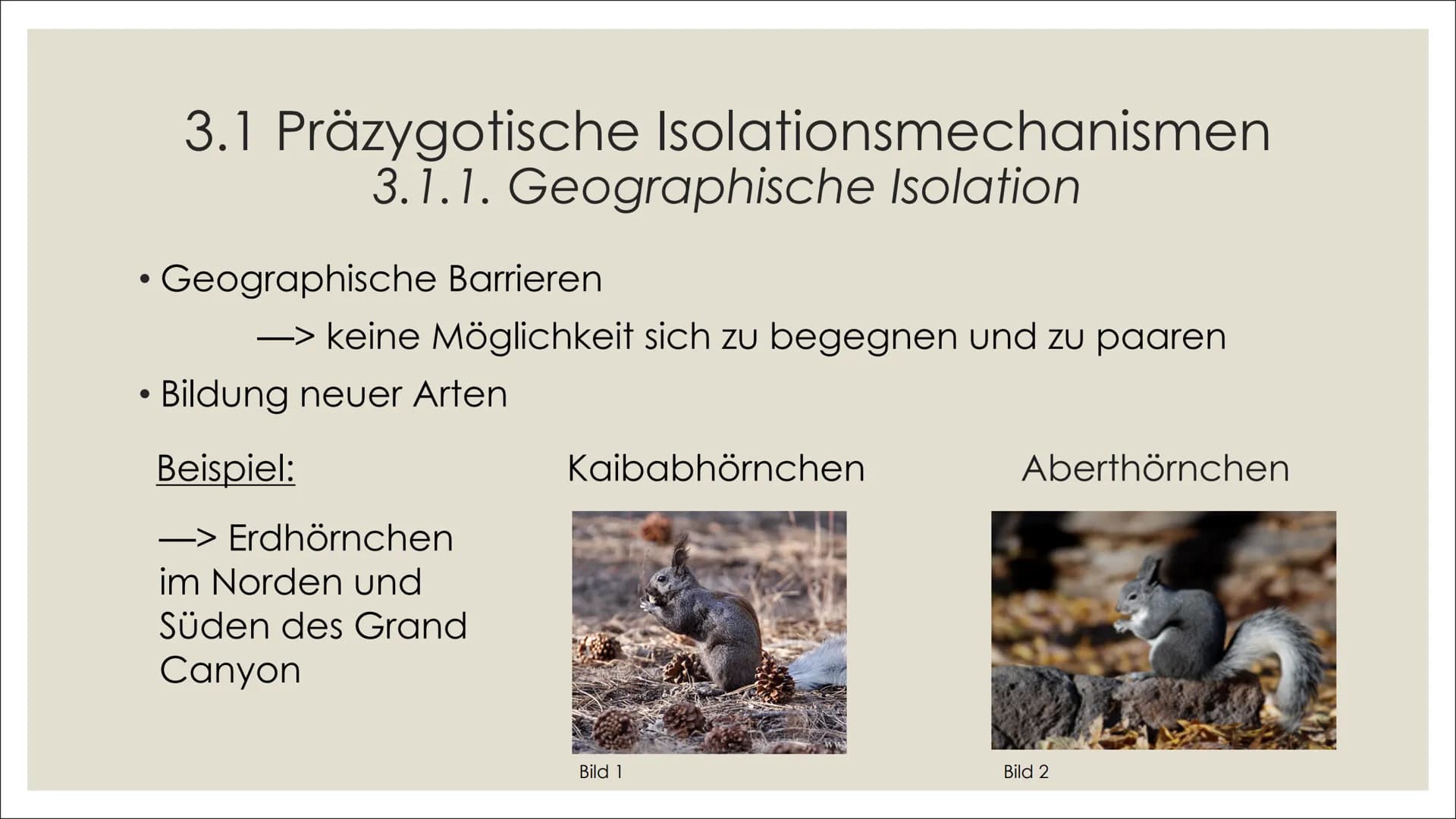 NE
빛
브
브
ARTBILDUNG UND
ISOLATIONSMECHANISMEN
카멜
빛 1. Definitionen
2. Artbildung
1. Artkonzepte
2. Formen der Artbildung
4. Quellenverzeichn