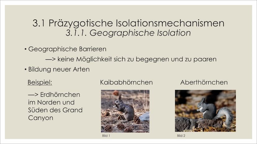 NE
빛
브
브
ARTBILDUNG UND
ISOLATIONSMECHANISMEN
카멜
빛 1. Definitionen
2. Artbildung
1. Artkonzepte
2. Formen der Artbildung
4. Quellenverzeichn